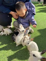 -萌宠亲子动物乐园(槐房万达店)