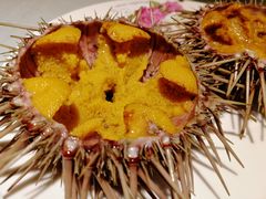 -大清花饺子(五五路店)