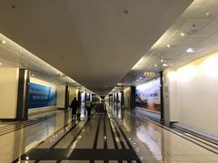 -奥利弗·雷金纳德·坦博国际机场
