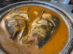 -邵年鸽(杨庄店)