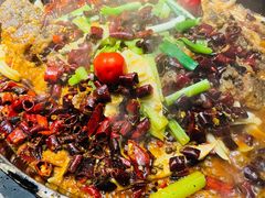 -老板恋上鱼(恒隆广场店)