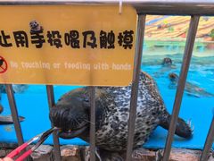 -泉城欧乐堡海洋极地世界