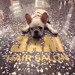 -3AM HAIR SALON烫发染发接发