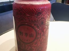 -野萃山·潮汕厚果汁(十亩地店)