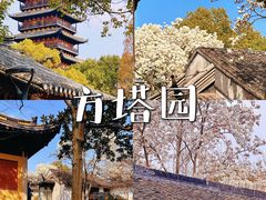 -常熟方塔园