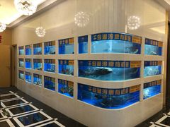 水产区-隆聚·时令海鲜(洪兴店)