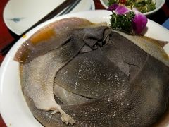 -二荆条·蜀鲜汇城市森林火锅