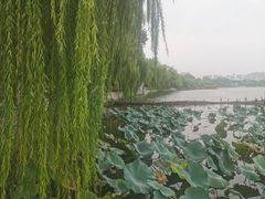 -海底捞火锅(明湖路店)