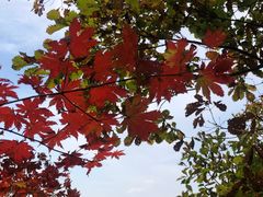 -丹东市五龙山风景区