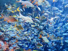 -成都浩海立方海洋公园