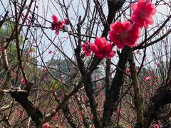 -白水带风景区体育公园