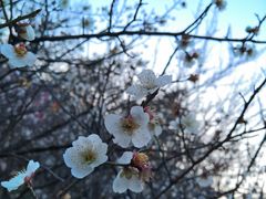 -山东大学(趵突泉校区)
