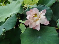 -法华学问寺-停车场