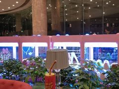 -南京维景国际大酒店咖啡厅
