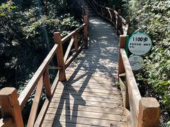 -大岭沟猕猴桃谷风景区