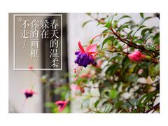 -彳亍咖啡·这里(水湾路店)