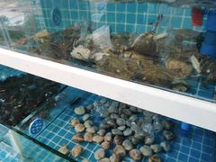 -龙岩佰翔京华酒店(京华购物中心店)