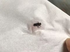 -古茗(海宁人民广场店)