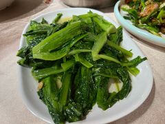 -鲤鱼塘农家山庄