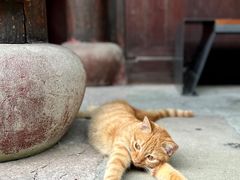 -慈城古县城景区