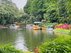 -晓港公园