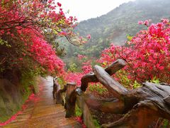 -木兰云雾山
