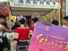 -三亚红色娘子军演艺公园景区