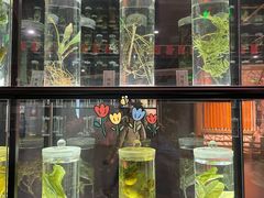 -广东中医药博物馆