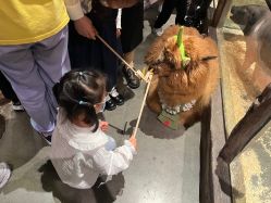 -造物庄园 萌宠纪(苏州湾歌林公园店)