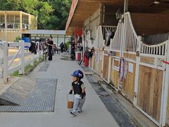-名驭国际马术学院