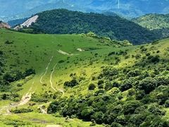 -大姆山草场