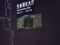 -中国西峡恐龙遗迹园