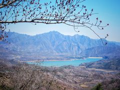 -野鸭湖国家湿地公园