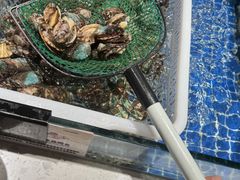 -海德温泉酒店