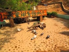 -燕塞湖鸟语林景区