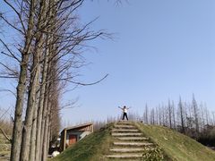 -前小桔亲子创意农场·草莓采摘·露营烧烤