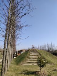 -前小桔亲子创意农场·草莓采摘·露营烧烤
