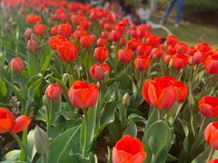 -玄武湖景区-情侣园游乐场