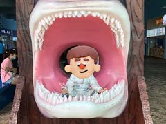 -芜湖新华联大白鲸海洋公园