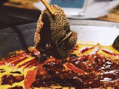 -大龙燚火锅(春熙店)