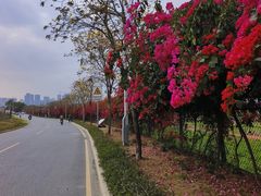 -光明小镇欢乐田园