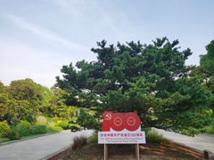 -黄兴公园