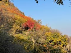 -香山公园