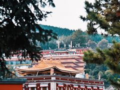 -塔尔寺