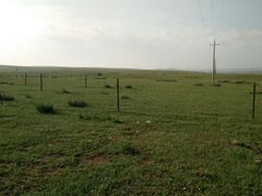 -鄂尔多斯野生动物园