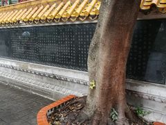 -宋少帝陵