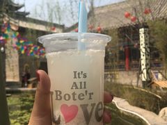 -渭南桃花源民俗文化园