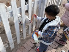 -前小桔亲子创意农场·草莓采摘·露营烧烤