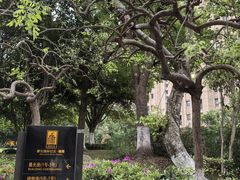 -碧云国际社区·晓园
