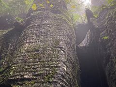 -梦幻奥陶纪景区